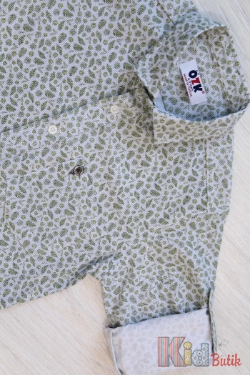 Купить Рубашка светло-зеленая с принтом для мальчика Ozk kids Oz18-6(1389) Зел.лист на КидБутик Рубашка светло-зеленая с принтом для мальчика Ozk kids Oz18-6(1389) Зел.лист
