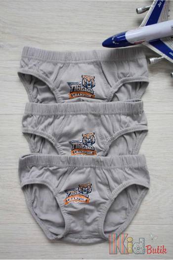 Купить Набор трусиков 3шт. "Tigers champion" для мальчика 3-4 лет Luxxa 276401 на КидБутик Набор трусиков 3шт. "Tigers champion" для мальчика 3-4 лет Luxxa 276401