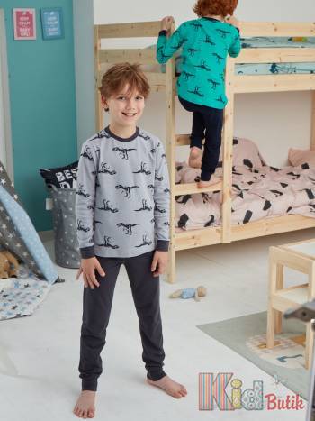 Купить Пижама для мальчика 6-7 лет с динозаврами на кофточке Donella 11516 на КидБутик Пижама для мальчика 6-7 лет с динозаврами на кофточке Donella 11516
