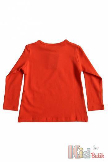Купить Реглан оранжевый базовый для девочки Lovetti 1004Orange на КидБутик Реглан оранжевый базовый для девочки Lovetti 1004Orange
