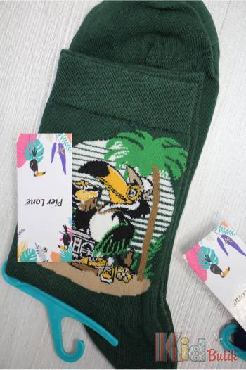 Купити Шкарпетки однотонні "Coll Animal" р.41-44 Pier Lone 0163 на КідБутік Шкарпетки однотонні "Coll Animal" р.41-44 Pier Lone 0163