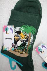 Купити Шкарпетки однотонні "Coll Animal" р.41-44 Pier Lone 0163 на КідБутік Шкарпетки однотонні "Coll Animal" р.41-44 Pier Lone 0163