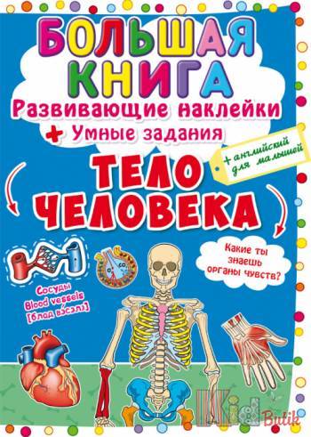 Купити Велика книга розвиваючі наліпки Тіло людини (укр) Crystal Book F00021862 на КідБутік Велика книга розвиваючі наліпки Тіло людини (укр) Crystal Book F00021862