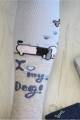 Купить Колготки "My Dog" для мальчика 6-12 мес. Arti 300036 на КидБутик Колготки "My Dog" для мальчика 6-12 мес. Arti 300036 - фото 2
