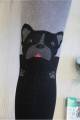 Купить Колготки темные с бульдогом Frenchie 50den Knittex DR2018 на КидБутик Колготки темные с бульдогом Frenchie 50den Knittex DR2018 - фото 2