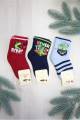 Купити Шкарпетки з динозавриком для хлопчика DBG socks Д000786 на КідБутік Шкарпетки з динозавриком для хлопчика DBG socks Д000786 - фото