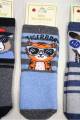 Купить Носки махровые для мальчика Cool Animals DBG socks Д000763 на КидБутик Носки махровые для мальчика Cool Animals DBG socks Д000763 - фото 2