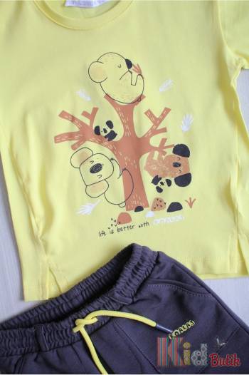 Купити Костюм 2-ка футболка+шорти "Koalas" для хлопчика NK Unsea НК22-4(22600) на КідБутік Костюм 2-ка футболка+шорти "Koalas" для хлопчика NK Unsea НК22-4(22600)