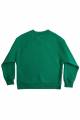 Купити Світшот зелений "747" універсальний Marions Мр22-15(5027)зел на КідБутік Світшот зелений "747" універсальний Marions Мр22-15(5027)зел - фото 2