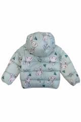 Купить Куртка демисезонная для девочки Bolina Baby И22-45Салат на КидБутик Куртка демисезонная для девочки Bolina Baby И22-45Салат