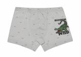 Трусы боксеры "Alligator" для мальчика 6-7 лет Donella 23-751306B