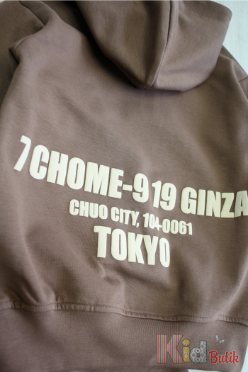Купити Костюм спортивний 2-ка коричневий "Tokyo" для хлопчика Jack Lions Ес24-51Кор(1767) на КідБутік Костюм спортивний 2-ка коричневий "Tokyo" для хлопчика Jack Lions Ес24-51Кор(1767)