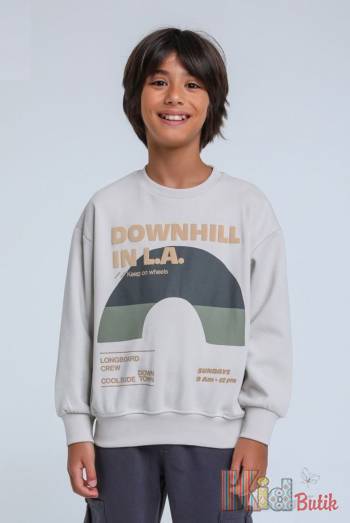 Купить Свитшот "Downhill in LA" для мальчика Jack Lions Ес24-47(1761) на КидБутик Свитшот "Downhill in LA" для мальчика Jack Lions Ес24-47(1761)