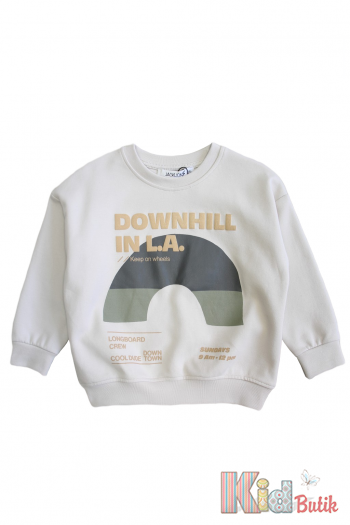 Купить Свитшот "Downhill in LA" для мальчика Jack Lions Ес24-47(1761) на КидБутик Свитшот "Downhill in LA" для мальчика Jack Lions Ес24-47(1761)