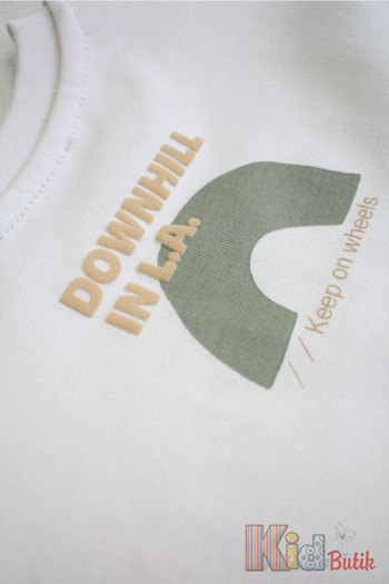Купить Свитшот "Downhill in LA" для мальчика Jack Lions Ес24-47(1761) на КидБутик Свитшот "Downhill in LA" для мальчика Jack Lions Ес24-47(1761)
