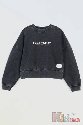 Купити Світшот темно-сірий Telepathy Reporter Young Р25-150(0550G-23-190) на КідБутік Світшот темно-сірий Telepathy Reporter Young Р25-150(0550G-23-190)