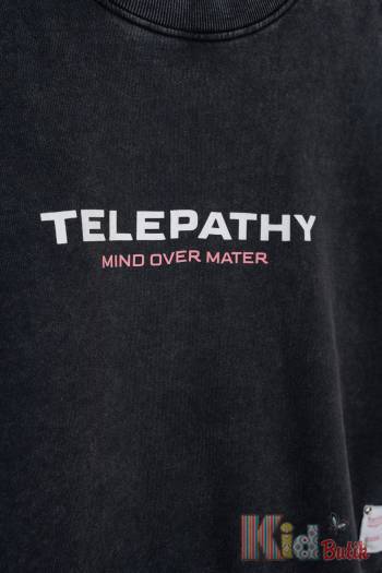 Купити Світшот темно-сірий Telepathy Reporter Young Р25-150(0550G-23-190) на КідБутік Світшот темно-сірий Telepathy Reporter Young Р25-150(0550G-23-190)