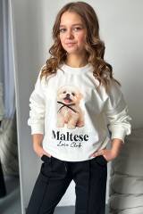 Свитшот молочный Maltese LOCOLOCO ЛЛ25-58Мол(7858)
