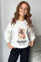 Свитшот молочный Maltese LOCOLOCO ЛЛ25-58Мол(7858)