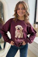 Свитшот бордовый Maltese LOCOLOCO ЛЛ25-58Борд(7858)