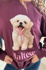 Свитшот бордовый Maltese LOCOLOCO ЛЛ25-58Борд(7858)